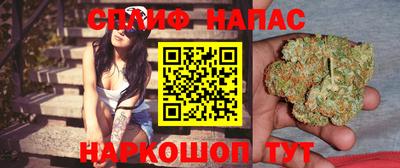 PSILOCYBIN Можга