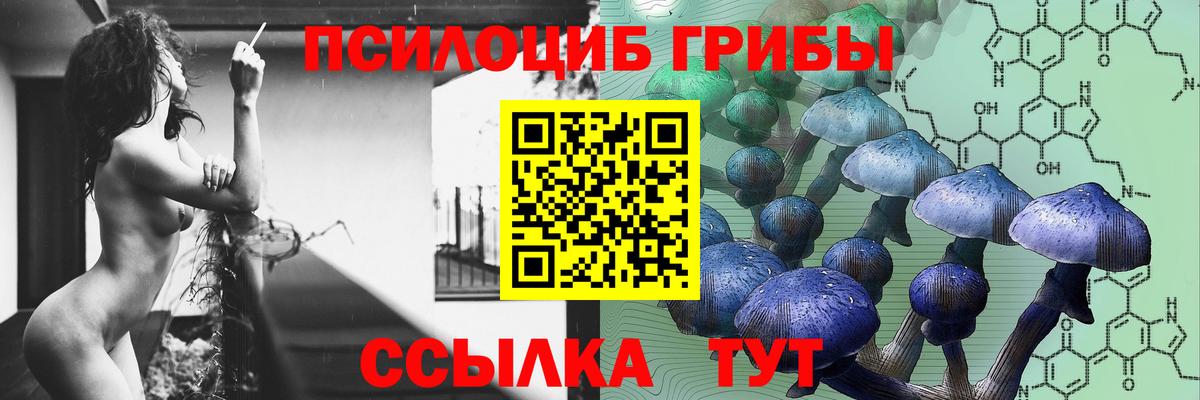 Псилоцибиновые грибы мухоморы  Галлюциногенные грибы Psilocybe  Вход с VPN  Тобольск 